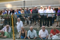 Clicca sulla foto per vedere ingrandimento